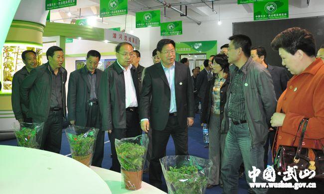 點(diǎn)擊查看大圖