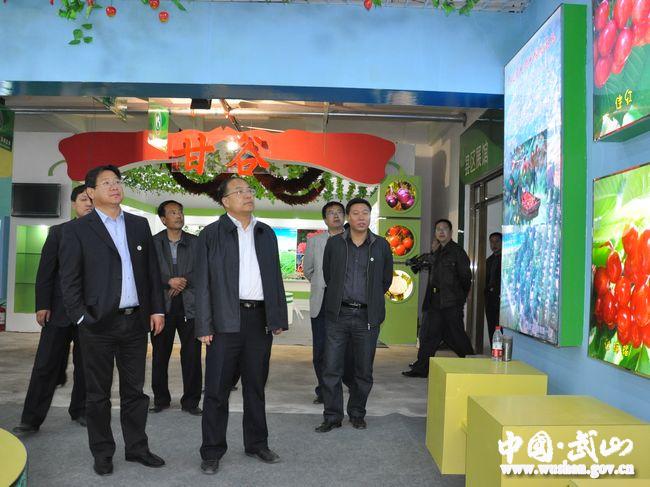 點(diǎn)擊查看大圖