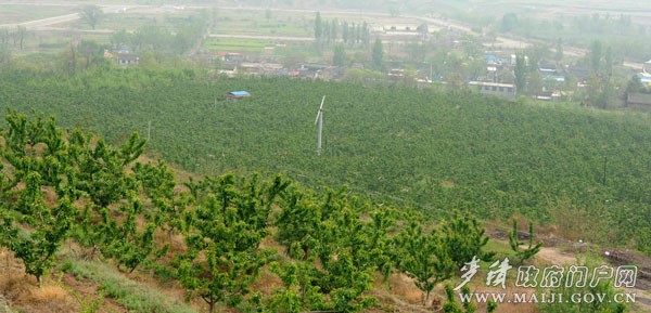 DYH_9838.jpg