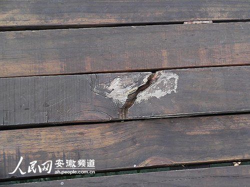 ����ľ�����