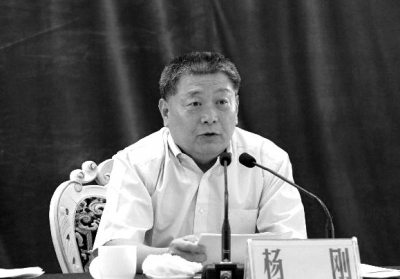 楊剛資料圖片