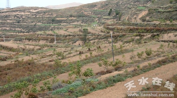 IMG_9146 - ����.jpg