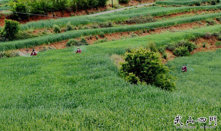 點(diǎn)擊查看大圖