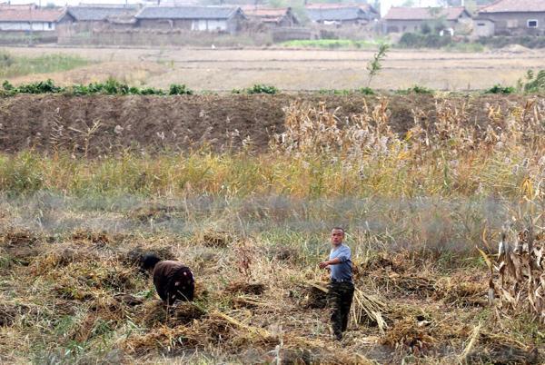 朝鮮嚴厲譴責(zé)對朝人權(quán)決議:將果斷粉碎反朝策動