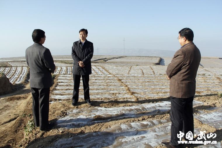 點(diǎn)擊查看大圖