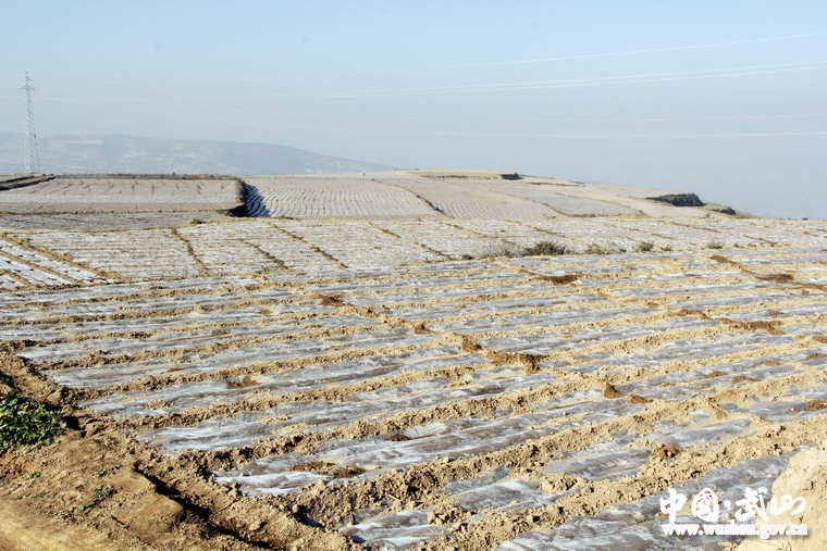 點(diǎn)擊查看大圖