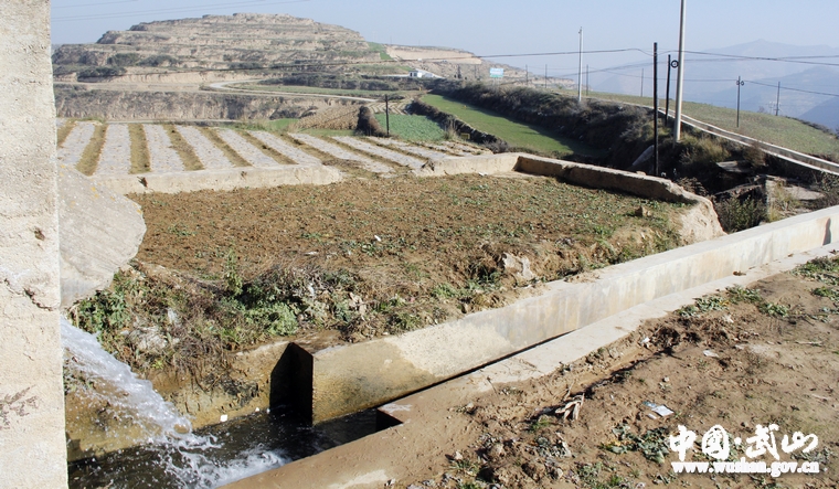 點(diǎn)擊查看大圖