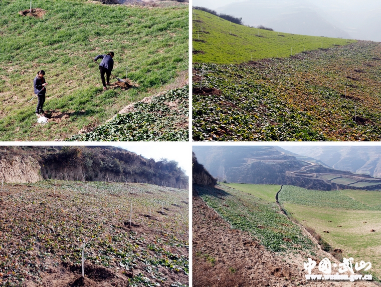 點(diǎn)擊查看大圖