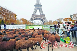 ��(d��ng)?sh��)ؕr(sh��)�g2014��11��27��������(gu��)����������(gu��)�r(n��ng)�񎧾d���ڰ��Ơ��F���������h��Ҫ��h(hu��n)�����T��ȡ��Ч��ʩ��Q��Ⱥ�u����Ⱥ?ji��n)��}����D���� ���ں̣�