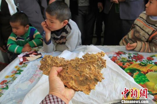 新疆一牧民撿到7850克天然金塊形似中國(guó)地圖(圖)