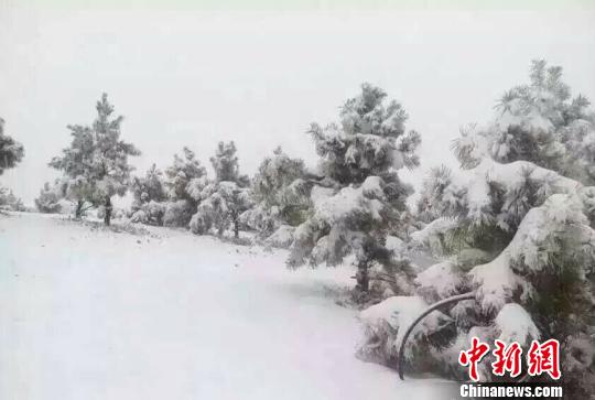 Iѩɽѩ W(wng)j(lu)D z