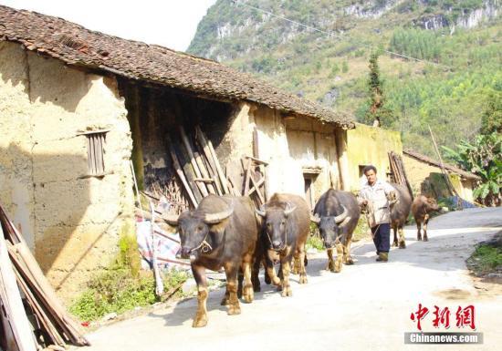 國務(wù)院扶貧辦:地方政府扶貧考核脫貧成效占逾60%