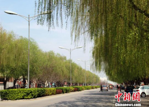 D鰲¿hֽ־ ڿ z