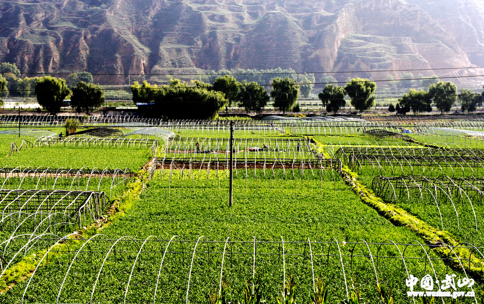 點(diǎn)擊查看大圖