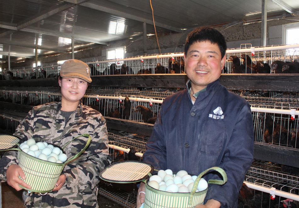 點(diǎn)擊查看大圖