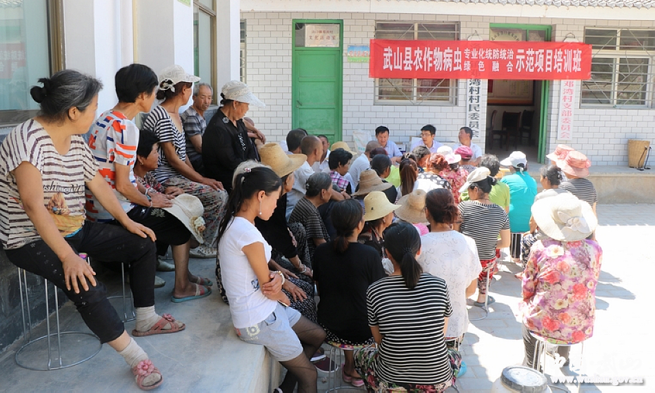 點(diǎn)擊查看大圖