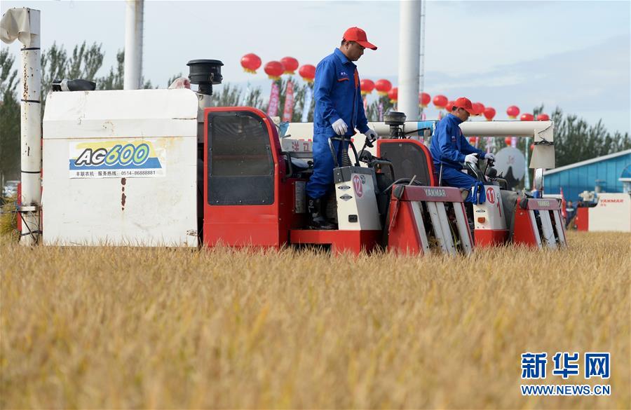 (新華全媒頭條·圖文互動)(9)最年輕的節(jié)日 最悠久的牽念——寫給首個中國農(nóng)民豐收節(jié)