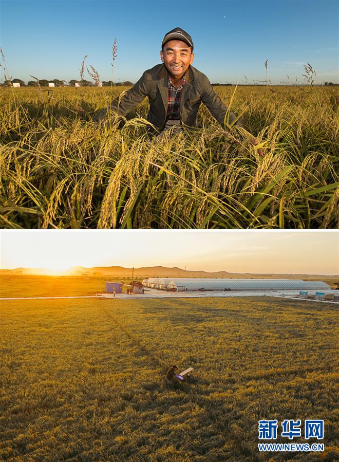 (新華全媒頭條·圖文互動)(10)最年輕的節(jié)日 最悠久的牽念——寫給首個中國農(nóng)民豐收節(jié)