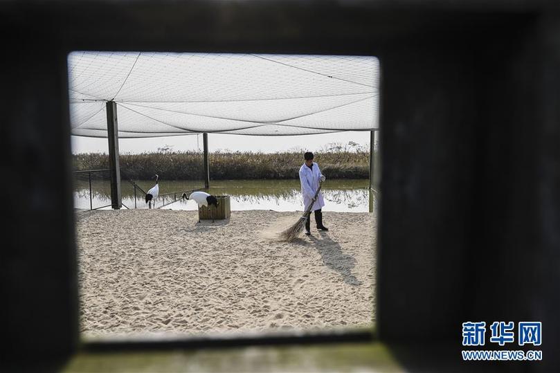 (兩會前夕看落實·圖文互動)(3)綠色發(fā)展引領(lǐng) 守護(hù)“魚米之鄉(xiāng)”——江蘇落實習(xí)近平總書記全國兩會重要講話精神紀(jì)實