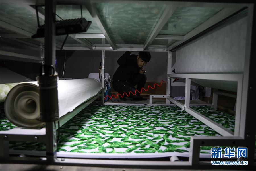 �����Aȫý�^�l���D�Ļ���(d��ng)����6����ǧ��ųǵ���(gu��)�HӾ�b֮���������|�����J�u��Ρ��߲��D(zhu��n)����