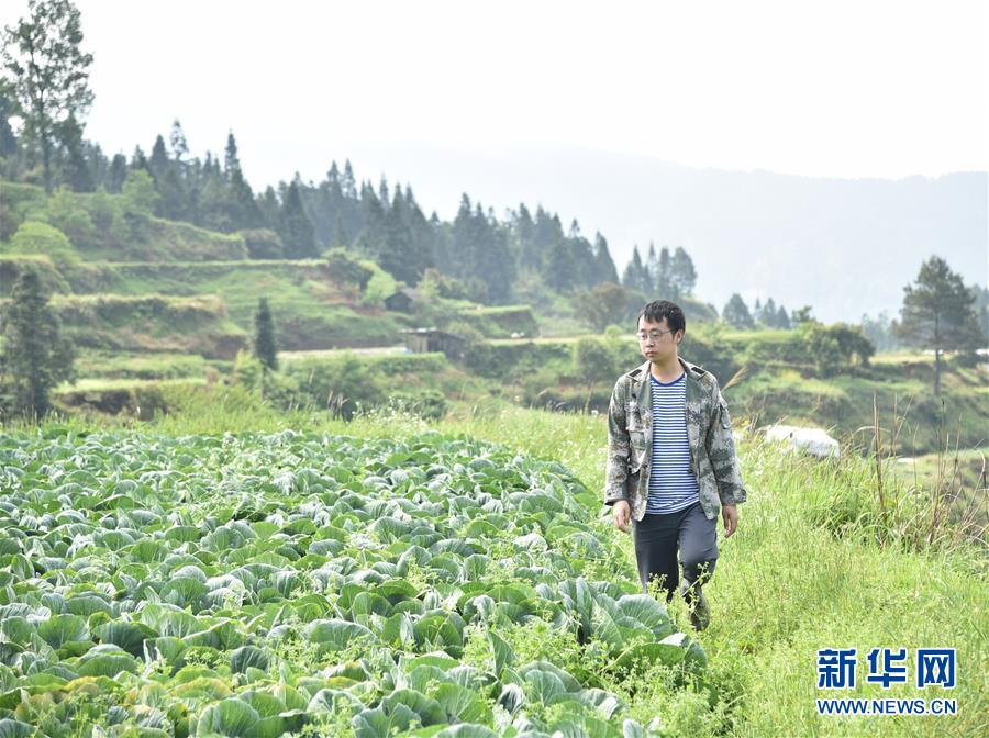 (新華全媒頭條·圖文互動)(1)咱們村里的年輕人——記奮戰(zhàn)在貴州脫貧攻堅一線的青年