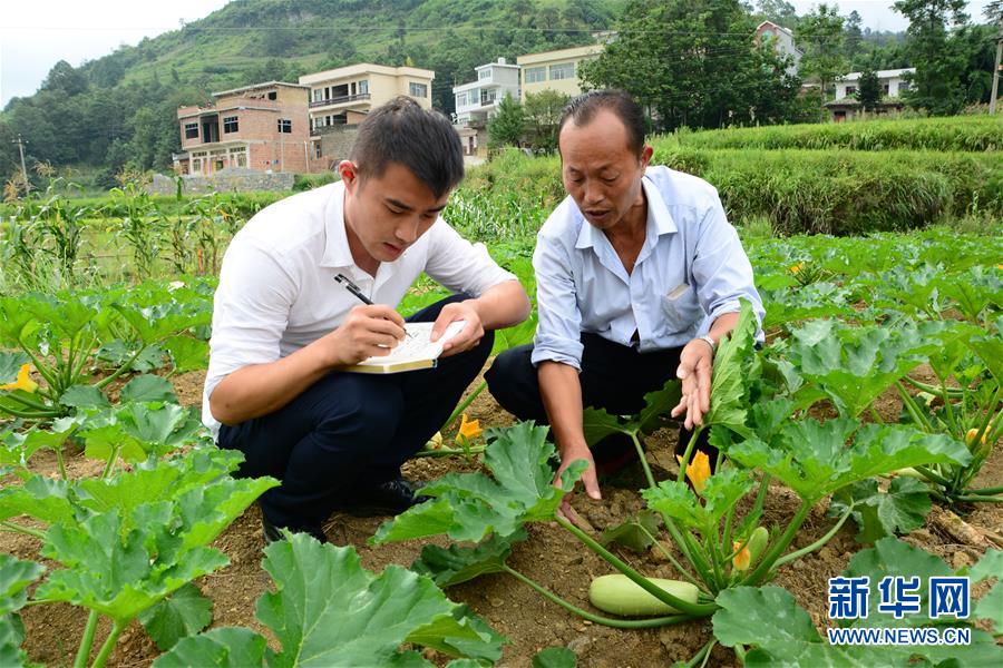 (新華全媒頭條·圖文互動)(3)咱們村里的年輕人——記奮戰(zhàn)在貴州脫貧攻堅一線的青年