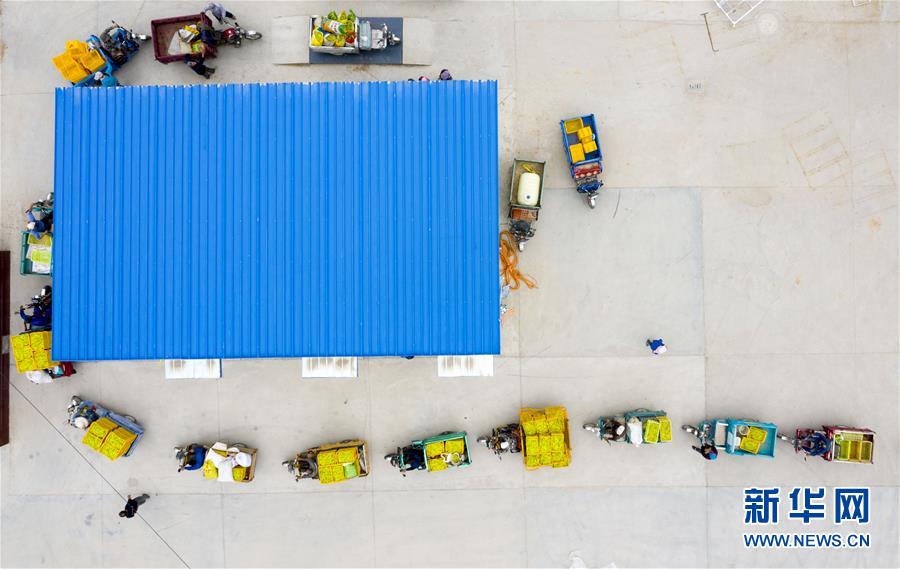 (新華全媒頭條·走向我們的小康生活·圖文互動)(10)23萬人的命運轉(zhuǎn)折——我國最大易地生態(tài)移民安置區(qū)的脫貧密碼