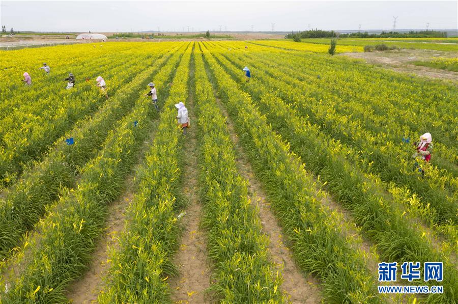 (新華全媒頭條·走向我們的小康生活·圖文互動)(11)23萬人的命運轉(zhuǎn)折——我國最大易地生態(tài)移民安置區(qū)的脫貧密碼