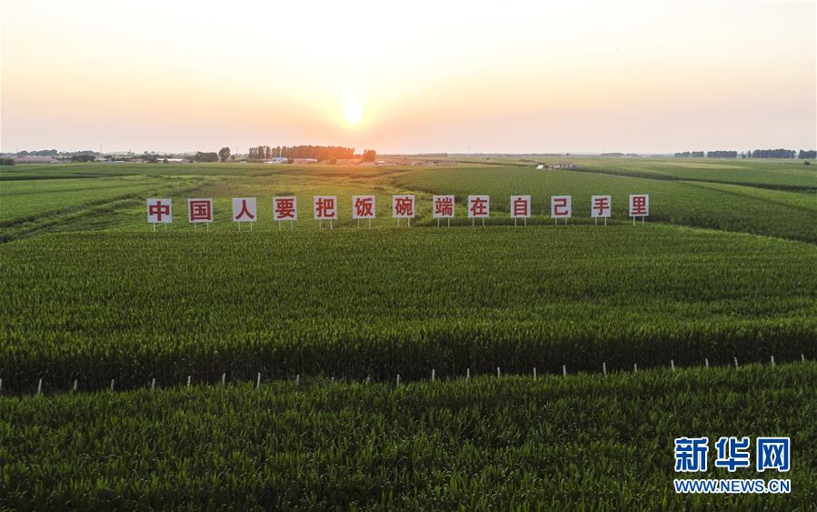 (在習(xí)近平新時代中國特色社會主義思想指引下——新時代新作為新篇章·習(xí)近平總書記關(guān)切事·圖文互動)(1)讓百姓吃得飽還要吃得好——夯實(shí)糧食安全基礎(chǔ)端牢中國飯碗