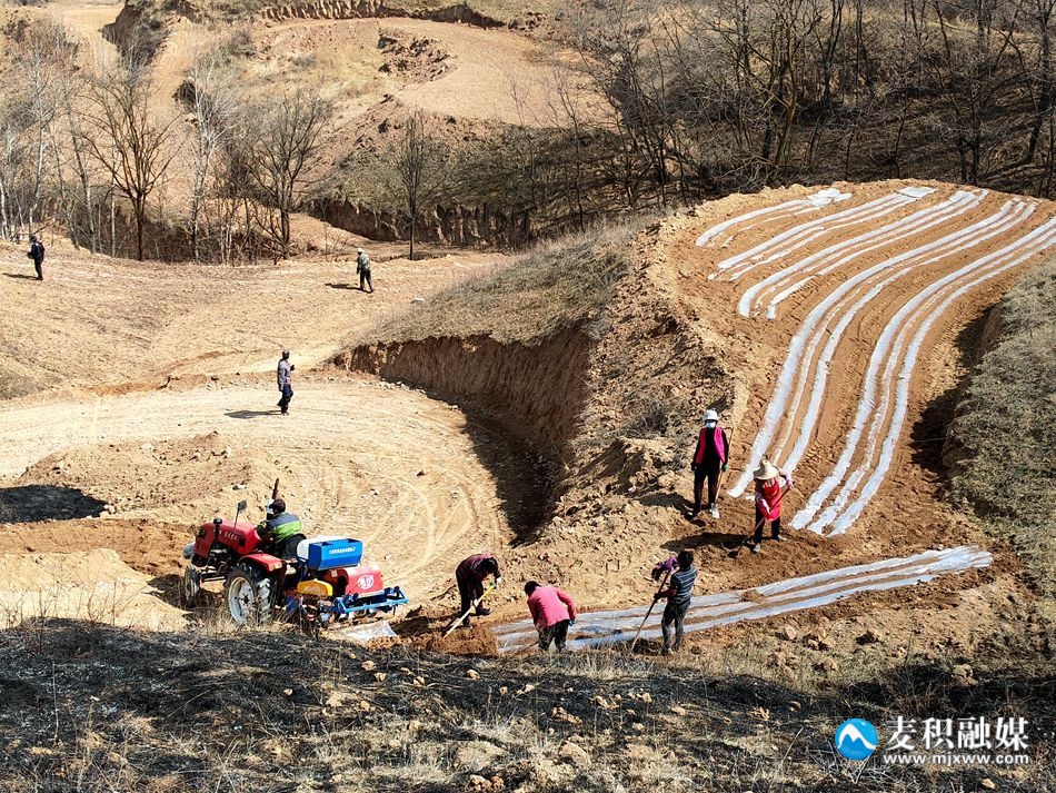 75b0dad6e287a1f762d3371c99bd8ac