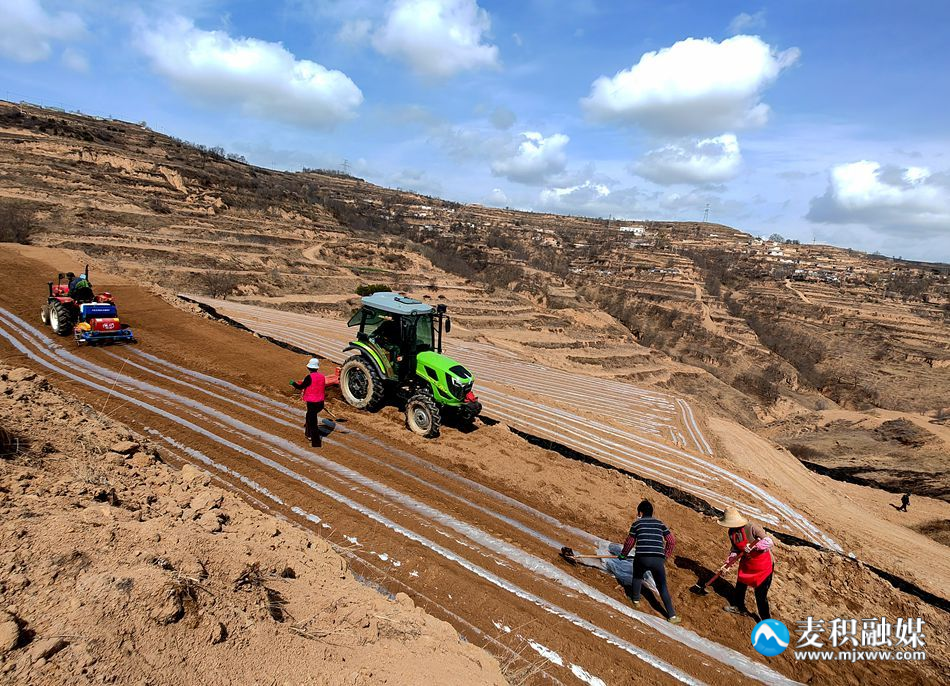 fabd42509eb42862771b29c87d5199d