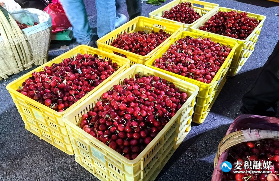 微信圖片_20230530233756